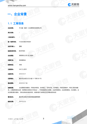 升力盛(重庆)企业管理咨询企业信息报告-天眼查